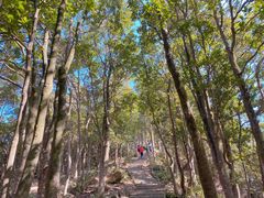 -梧桐山风景名胜区