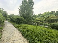 -大望京公园