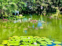 -中国科学院西双版纳热带植物园