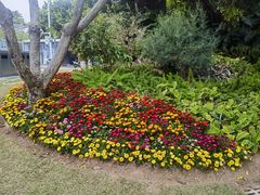 -深圳湾公园(南山区)