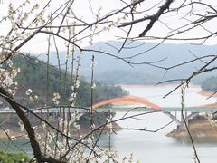 -广州市流溪河国家森林公园