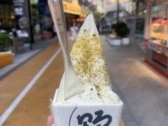 -野人先生Gelato(上海长宁龙之梦店)