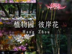 -杭州植物园