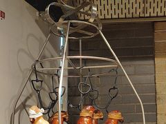 -大鸭梨烤鸭(金色漫香店)
