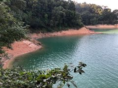 -广州市流溪河国家森林公园