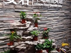 -姜君·千岛湖鱼头馆(浦东大道店)
