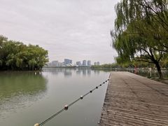 -天鹅湖体育公园