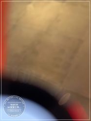 -悦Salon发型设计