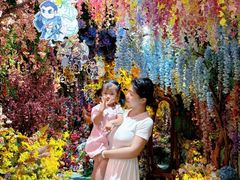 -正佳雨林生态植物园