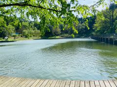 -武陵山森林公园