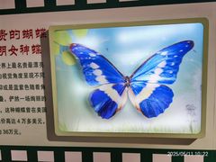 -上海昆虫博物馆