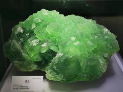 -湖南省地质博物馆