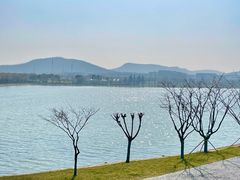 -羊山湖公园