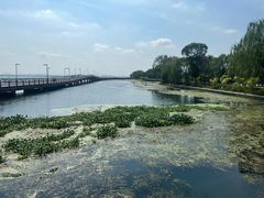 -阳澄湖半岛旅游度假区