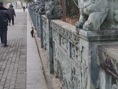 -高旻寺