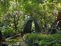 -史努比缤纷世界