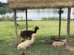 -南京银杏湖乐园