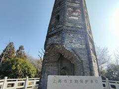 -上海佘山国家森林公园天马山园