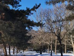 -北京植物园南门售票处