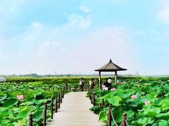 -北纬44度·金珠花海休闲农业旅游景区