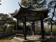 -月湖风景区