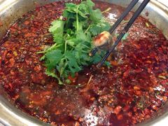 胖大姐黄辣丁鱼庄-胖大姐黄辣丁鱼庄(新津店)