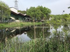 -西湖风景区-江洋畈生态公园