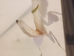 -燕莎友谊商城(亮马桥店)