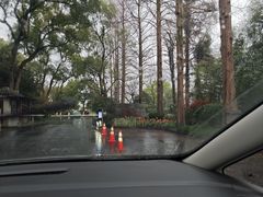 -浙江西子宾馆·牡丹厅