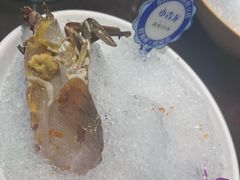 -东海怡品海鲜豆捞(舟宿夜江店)