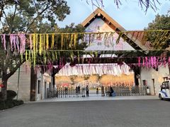 -上海海湾国家森林公园