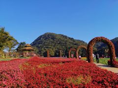 -广州市石门国家森林公园