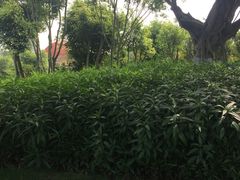 -五通灯塔公园