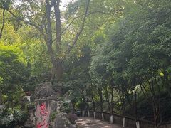 -忠山公园