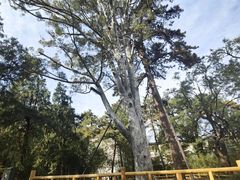 -香山公园