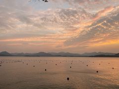 -九府羊·鲜羊火锅·烤串(新华路店)