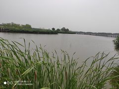 -西青郊野公园
