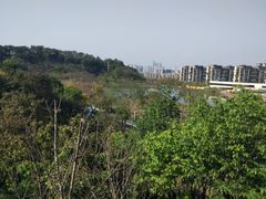 -飞凤山奥体公园