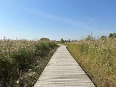 -野鸭湖国家湿地公园