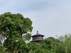 -八大山人梅湖景区