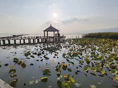 -哈素海