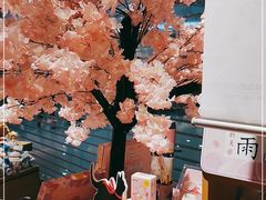 -九木杂物社(新奥购物中心店)