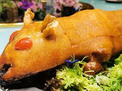 -玉满堂·湖北融合菜