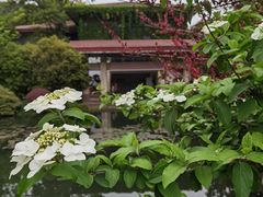 -中国茶叶博物馆(双峰馆区)