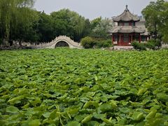 -莲池书院博物馆