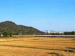 -风云岭森林公园