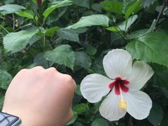 -南通洲际绿博园