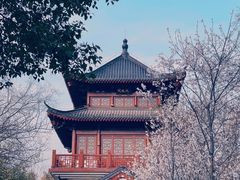 -堤角公园
