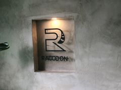 -浣熊柯尔鸭土拨鼠·电玩咖