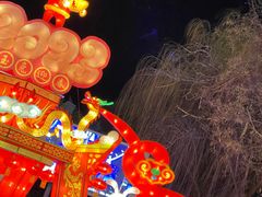 -北京石景山游乐园